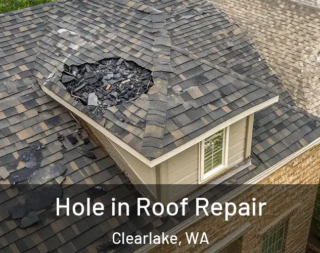  Hole in Roof Repair Clearlake, WA