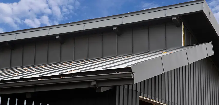 Professional Roof Eaves Installation Services in Clearlake, WA