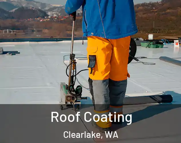  Roof Coating Clearlake, WA