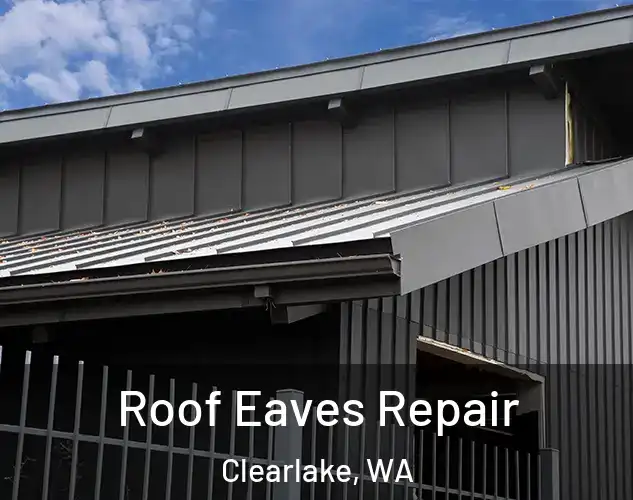  Roof Eaves Repair Clearlake, WA