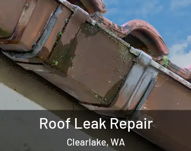  Roof Leak Repair Clearlake, WA