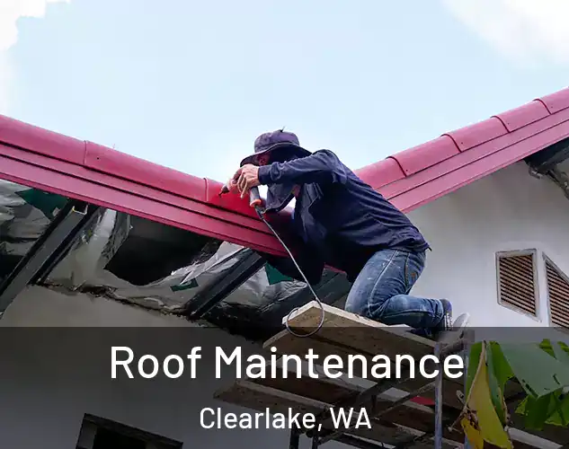  Roof Maintenance Clearlake, WA
