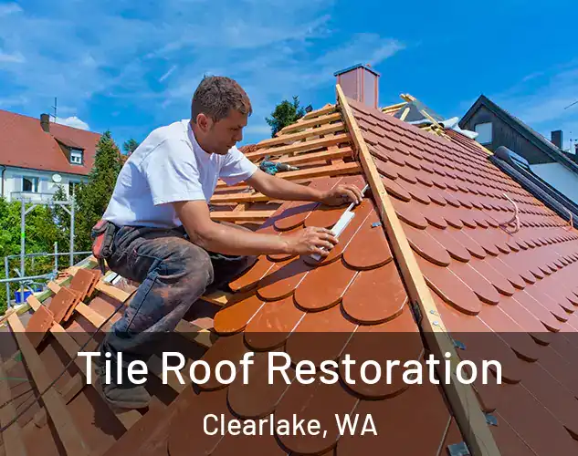  Tile Roof Restoration Clearlake, WA
